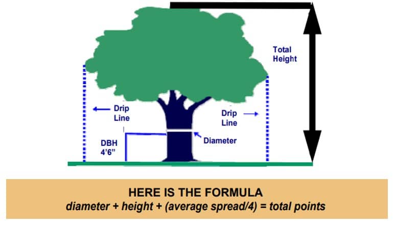 grand-tree-formula