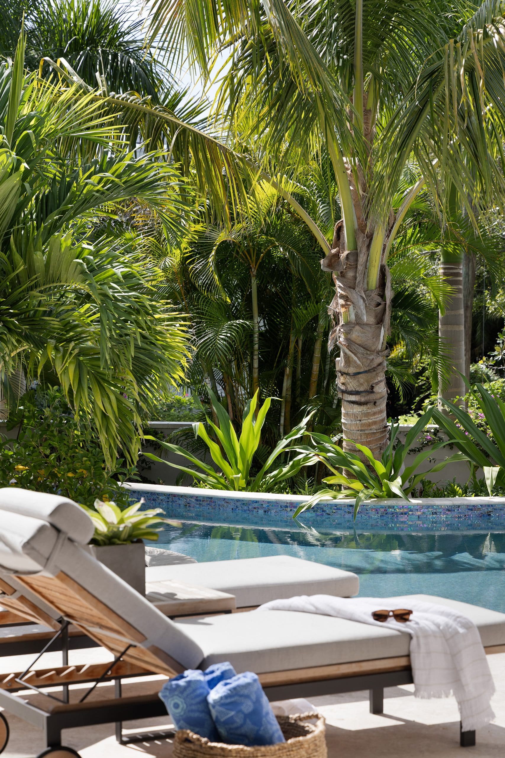 052_Oriole_Nautilus_RyanGammaPhotography